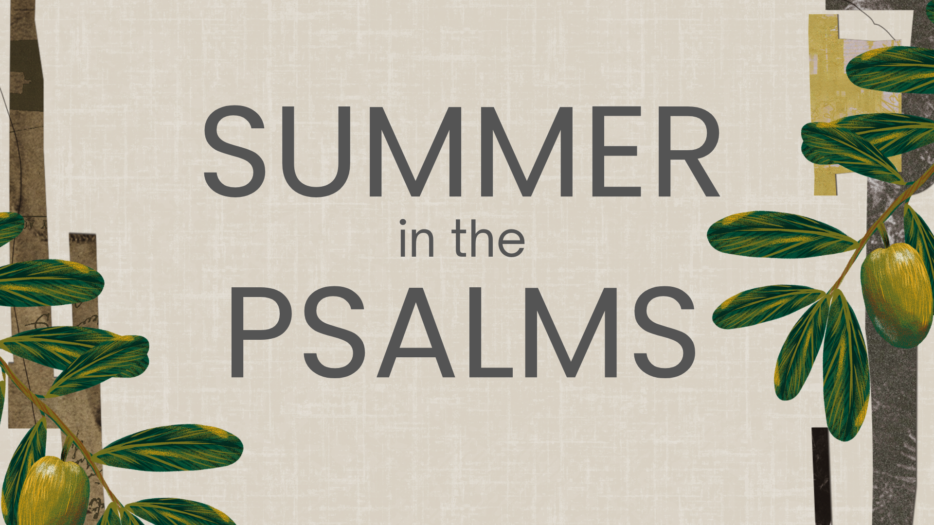 Read more about the article Psalm 148-150 – July 12, 2026